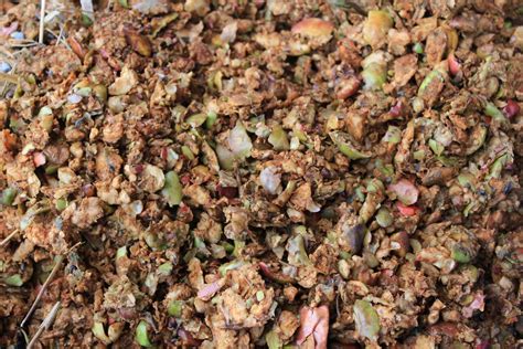 Apple pomace is a by-product of apple processing industries with low value and thus frequent disposal, although with valuable compounds. Acidified hot water …